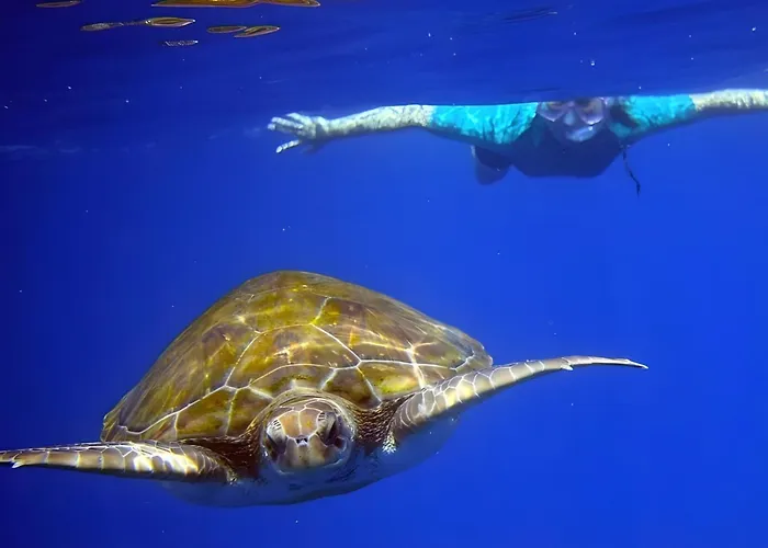 Apartment -'ღ'- Couples' Paradise. Insta-worthy Ocean Views. Costa Adeje (Tenerife)